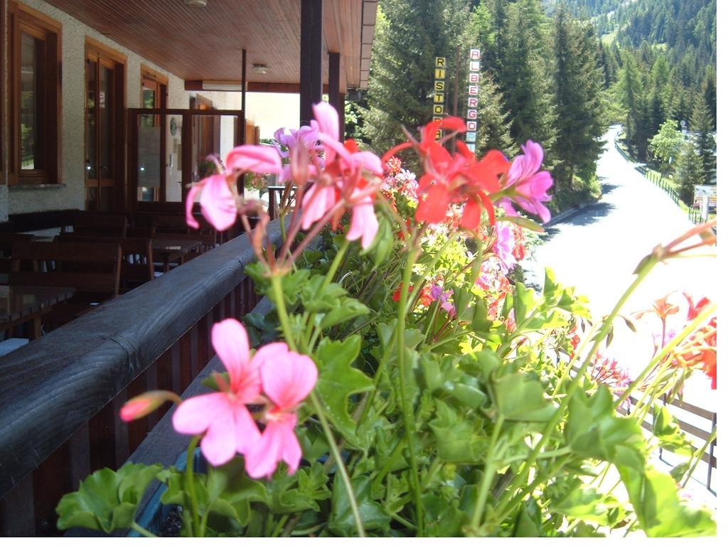 Albergo Pineta Gerola Alta エクステリア 写真